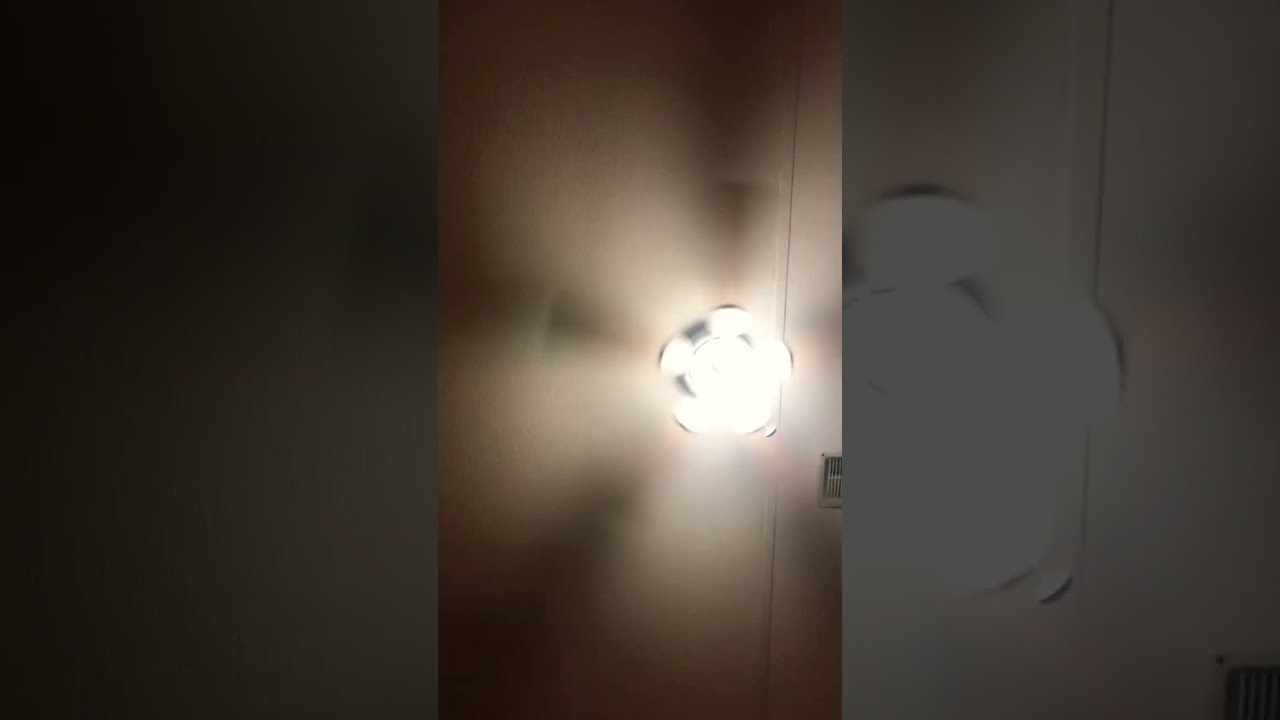 Idk Guys I M Just Bored
