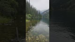 This lake hides a forest underwater,  это Озеро - призрак... #алматы #кайынды #казахстан