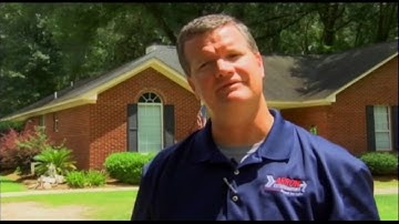 Rat, Squirrel & Bat Prevention Tips from Arrow Exterminators