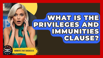 What Is The Privileges And Immunities Clause? - Moments That Shocked Us