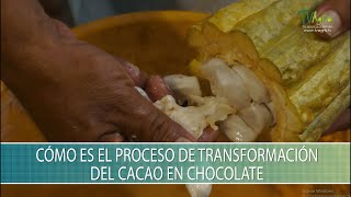 Como es el proceso de transformacion del cacao en chocolate - TvAgro por Juan Gonzalo Angel Restrepo