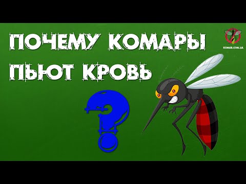 Почему комары пьют кровь