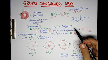 ¿Cuándo se descubrió el grupo sanguíneo A?