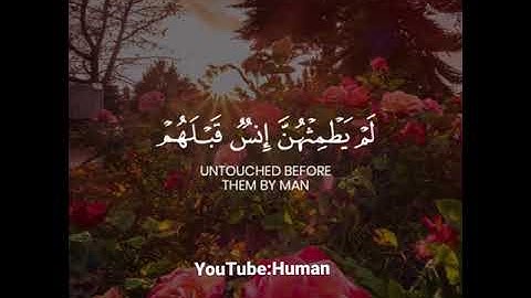 كأنهن الياقوت والمرجان / آيات مريحه بصوت جميل #قرآن