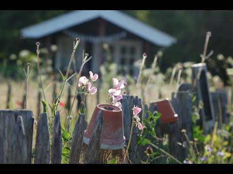 Aflevering 4 Lathyrus en Leeuwenbek