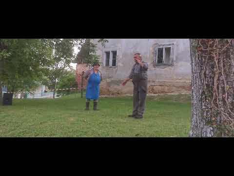 100% najbolj zabavna