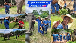 Details Visited The Elephant Sanctuary In Chiang Mai On DAY2. FEEDING THE ELEPHANTS IN CHIANG MAI @Thailand News