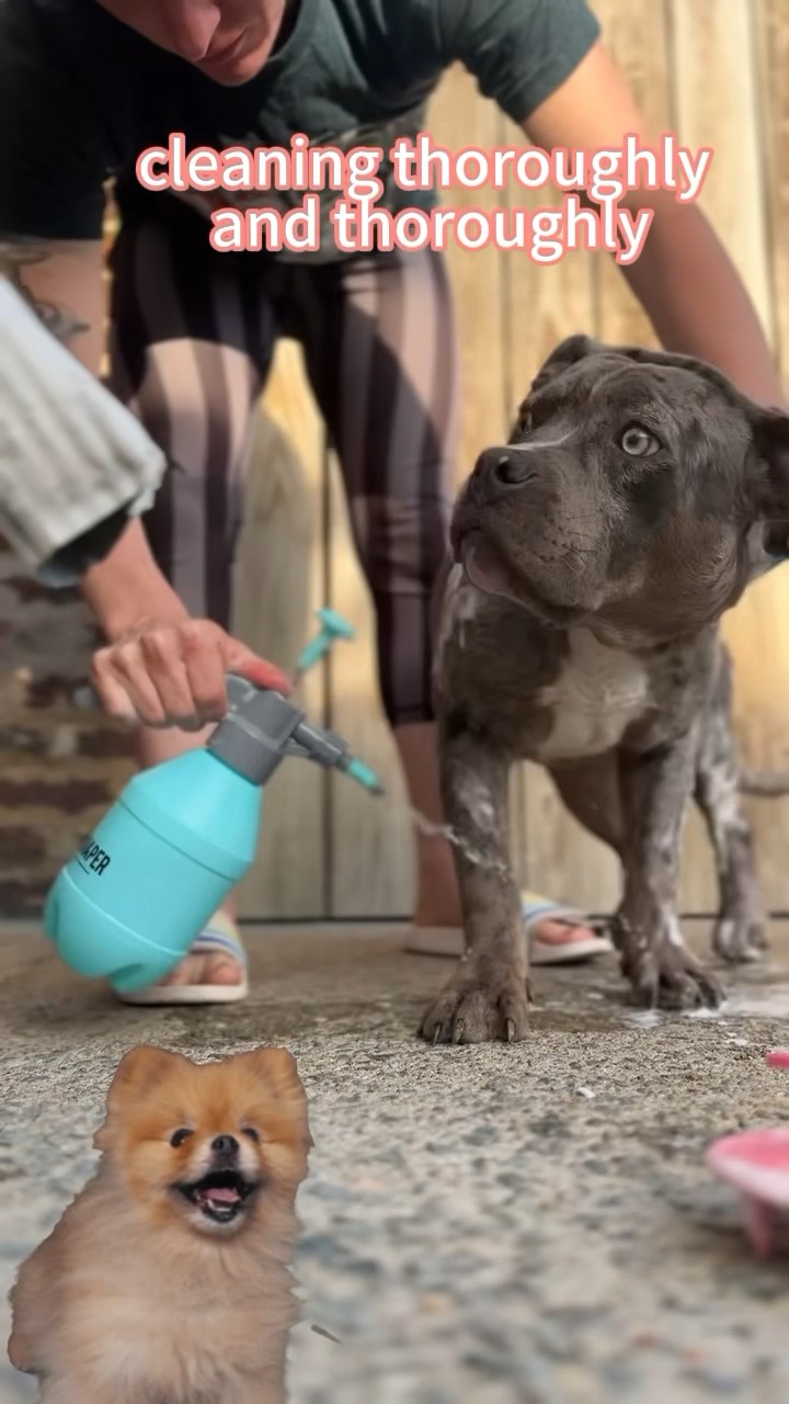 Wow,i like it! And i want to become fragrant ?????#dogmom#doglover #cutedog #dogproducts
