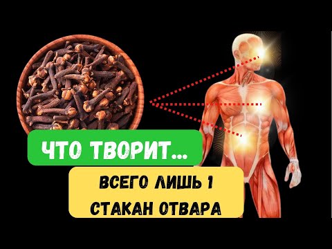 Начните пить стакан отвара ГВОЗДИКИ! И увидите что произойдет с вашим телом.