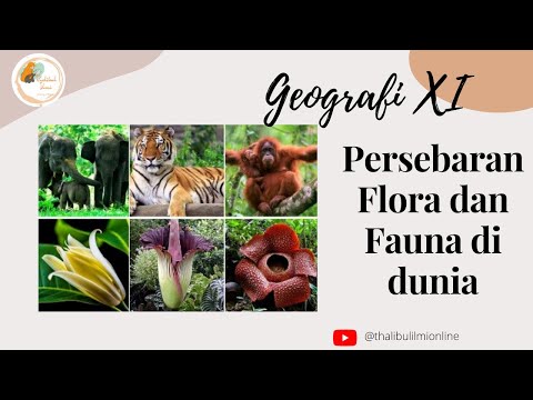 PERSEBARAN FLORA DAN FAUNA DI DUNIA