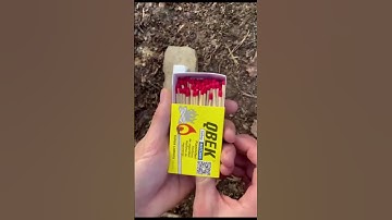 Jungle Survival Hacks | Mastering the Art of Fire | Essential Tips for Campers No-3 #natflix