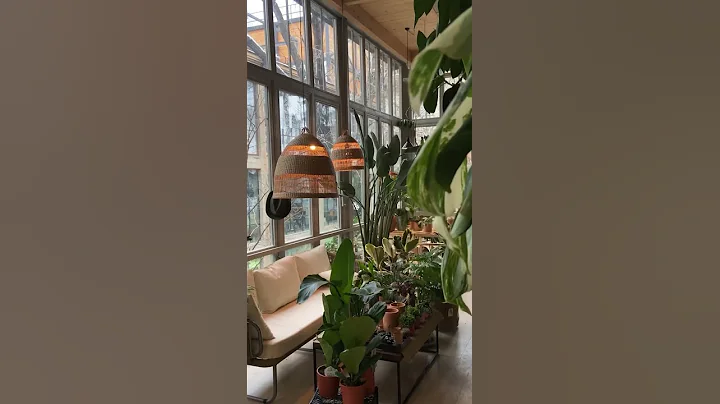 Living Room Full Of House Plants #Shorts