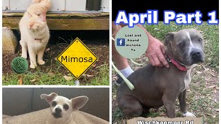 April Part 1 2023