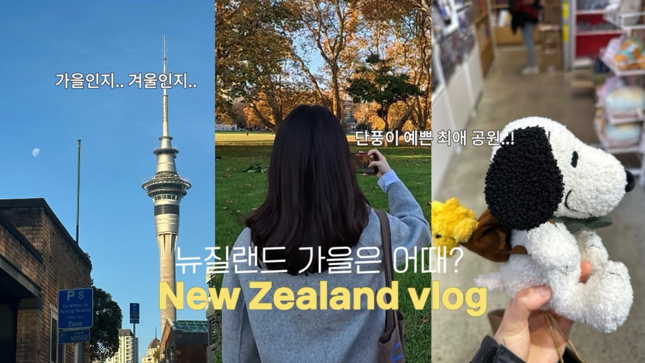 뉴질랜드 vlog 🇳🇿 독감에 걸려버린 일상..그래도 단풍구경🍁 TEMU 하울, 처음 도전해본 갈비탕 만들기👩🏻‍🍳