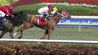 Gulfstream Park Replay Show | March 10, 2016