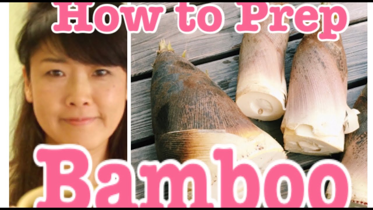 How to Prepare and Cook Fresh Bamboo Shoots at Home | Japanese Cooking Lovers by Yuri