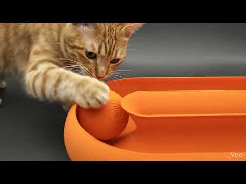 Іграшка для котика Лабіринт із м'ячиком, видео 2