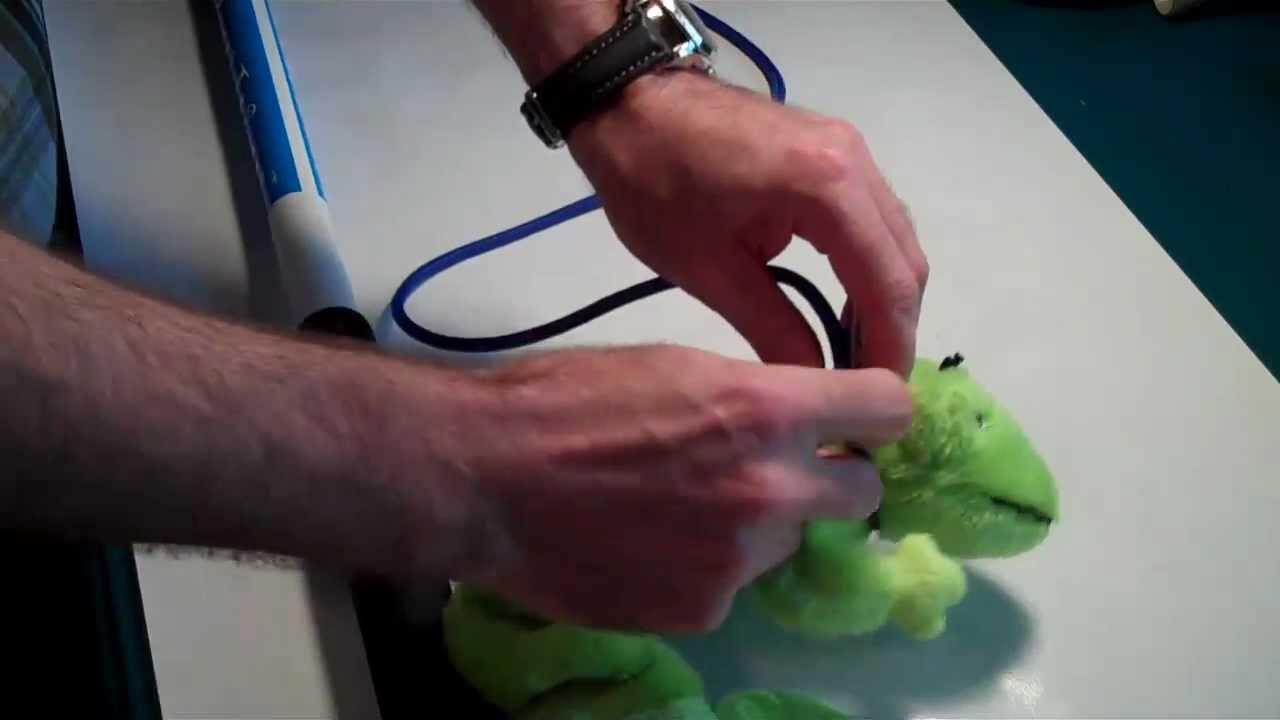 squishy face flirt pole