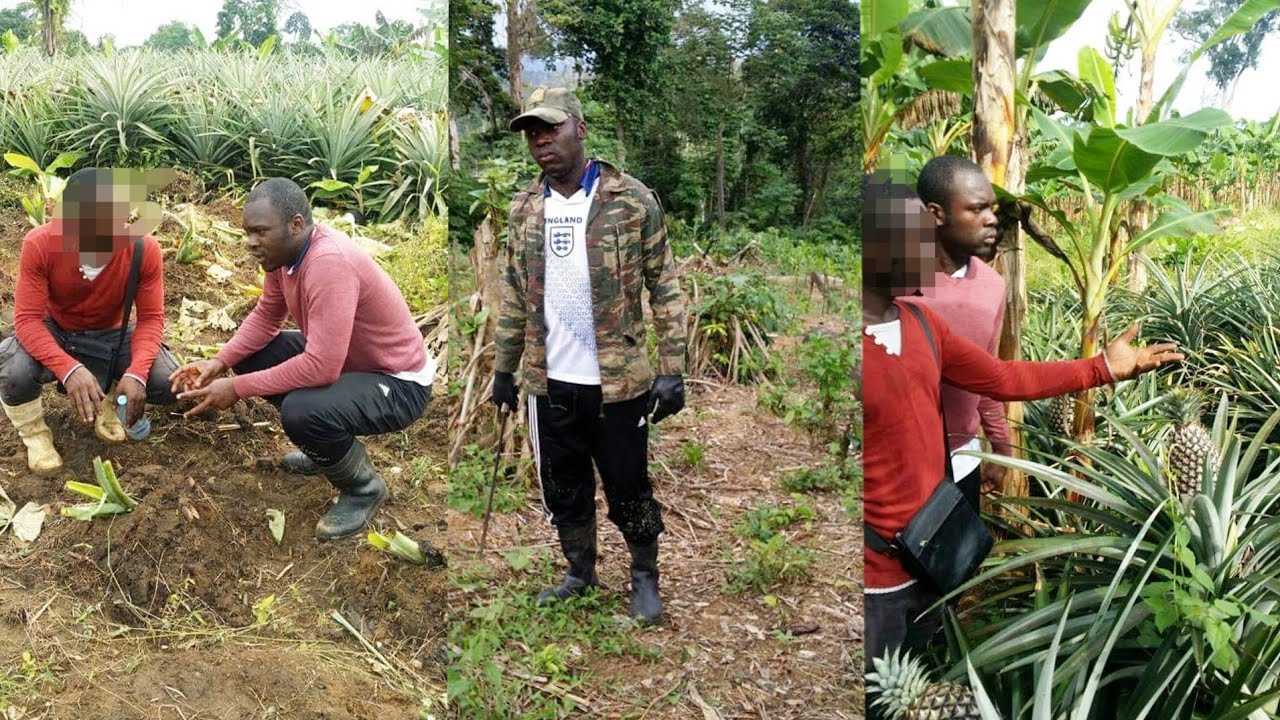 Attention le retour en Afrique ne s'improvise pas, ça se prépare.