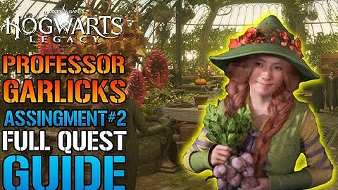 Hogwarts Legacy: Professor Galick