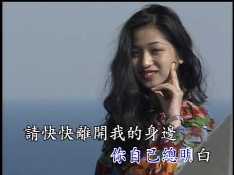 〈誰要你理睬〉國語卡拉OK - 原唱：張露