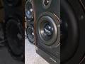 skar audio 6.5 inch subwoofer. Carousel bass boosted