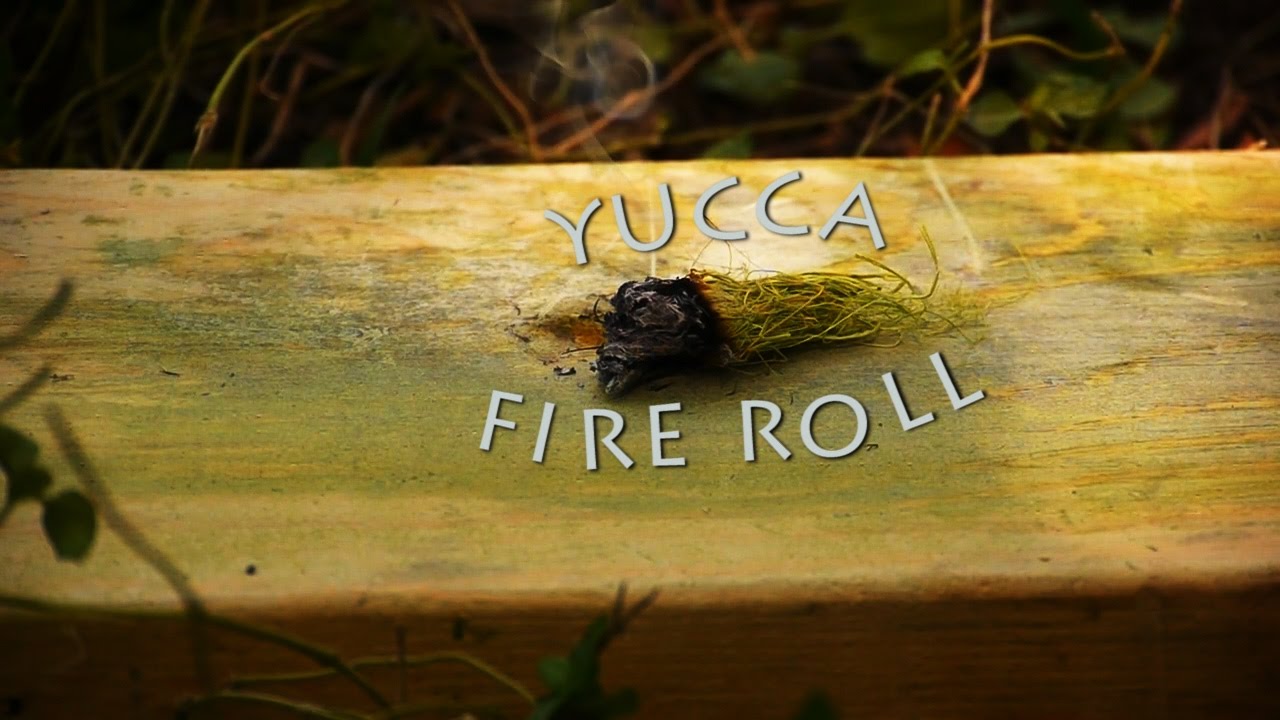Backyard Survival: Yucca Fire Roll