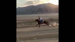 The Fastest Horse Ride vs Car Very Inspiring and Positive