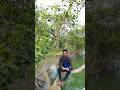 dji drone video #shorts #dji #dronevideo #djimini3 #nature