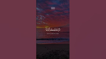 {وَٱللَّهُ خَلَقَكُم مِّن تُرَابࣲ ثُمَّ مِن نُّطۡفَةࣲ} | محمد صديق المنشاوي | سورة فاطر.