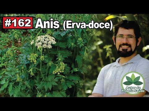 Vídeo: Endro, Erva-doce, Anis