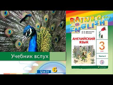 Rainbow English 3-2, Unit 6 Step 1, Английский язык 3 класс ч.2 ...