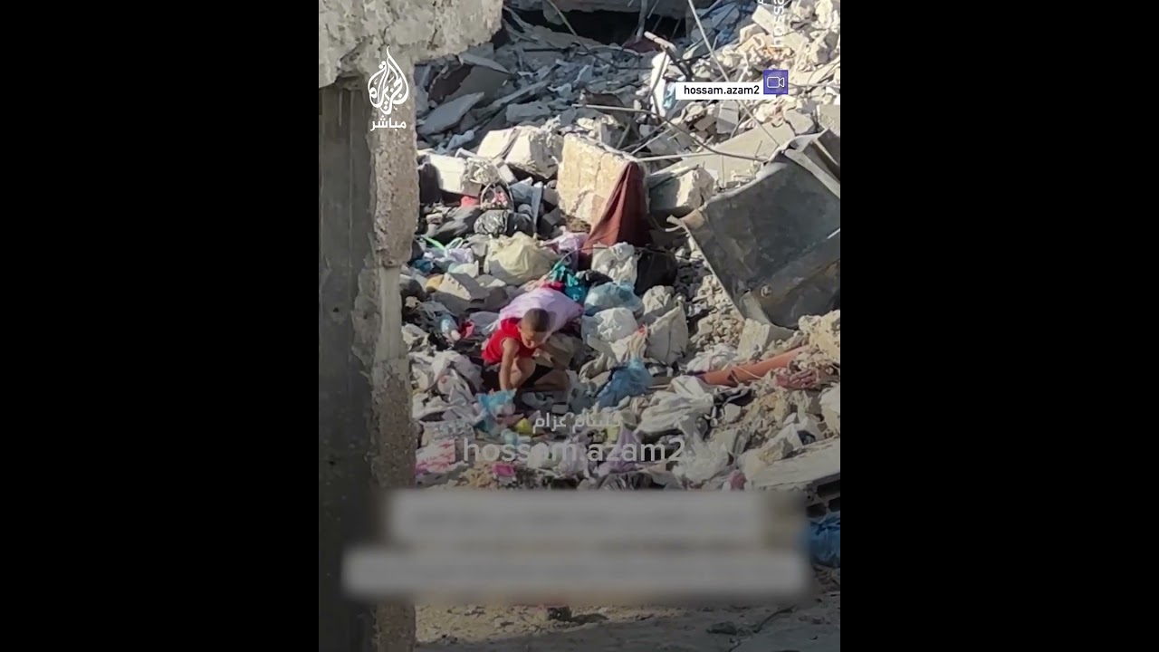في شمال غزة.. طفل ينبش القمامة بحثًا عن بقايا الطعام