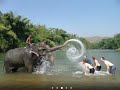 Elephant vs ELEPHANT Water Fight