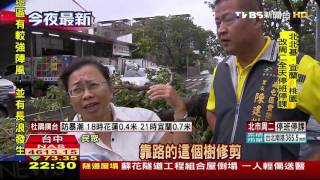 【TVBS】台中風大！ 路樹連根拔起路人吹飛滑倒