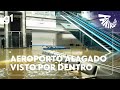 Cheiro forte, bichos mortos: como está o aeroporto de Porto Alegre | FANTÁSTICO