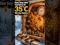 Interesting facts about the Bees🐝  #viral #learning #shortviral