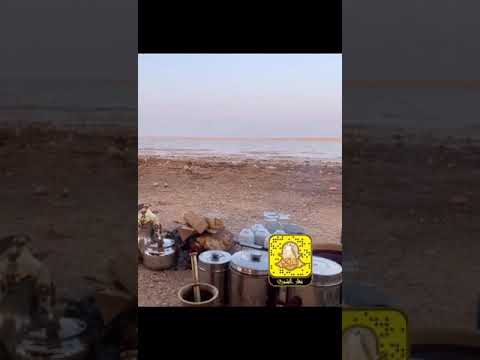 محلك ياجو الشتاء