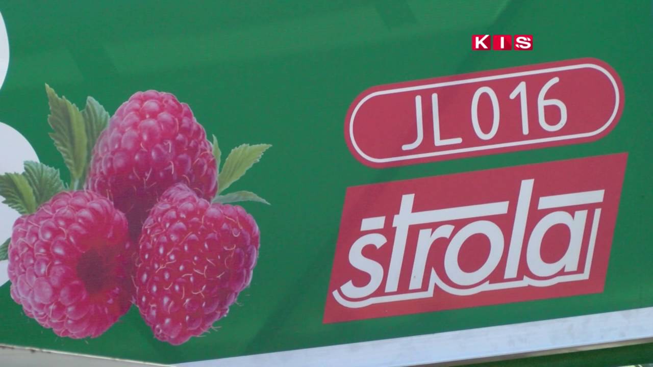 U Busovači predstavljen prvi stroj za branje malina