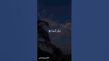 القارئ #وديع_اليمني