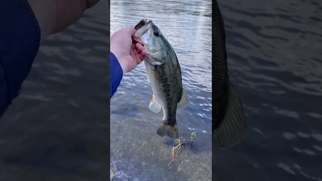 Fishing below the dam at Sam Rayburn 