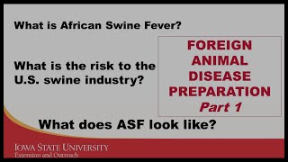 FAD Preparation Part 1: What is ASF and what are the risks to the U.S.?