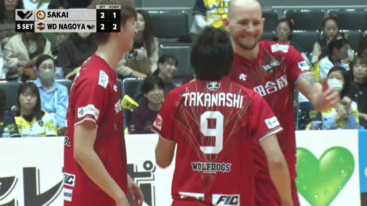 #日本製鉄堺ブレイザーズ vs #ウルフドッグス名古屋  Vリーグ公式試合ダイジェスト 2023.10.29
