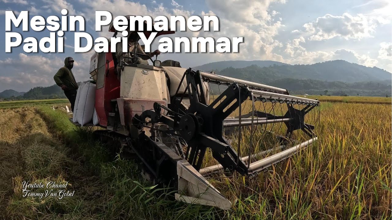 Mesin Modern Pemanen Padi Dari Yanmar Sangat Efektif Membantu Para ...