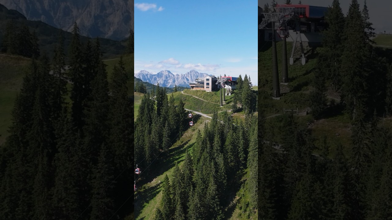 Montelinos Erlebnisweg am Kohlmais! Eure Hilfe wird benötigt. 🙌🏼🏞️ 