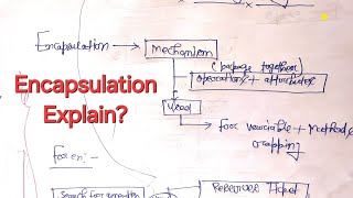 Encapsulation in Java | Encapsulation in Java with Full Information#encapsulation #javaprogramming