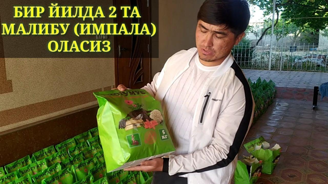 ОДДИЙ УЙ ШАРОИТИДА КУП ДАРОМАД ТОПИШ. БИР ЙИЛДА 2 ТА МАЛИБУ (ИМПАЛА ...