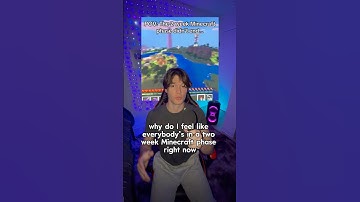 Everyone is in their 2 Week Minecraft Phase