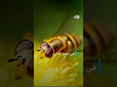 #وثائقي #shorts مبيدات الحشرات