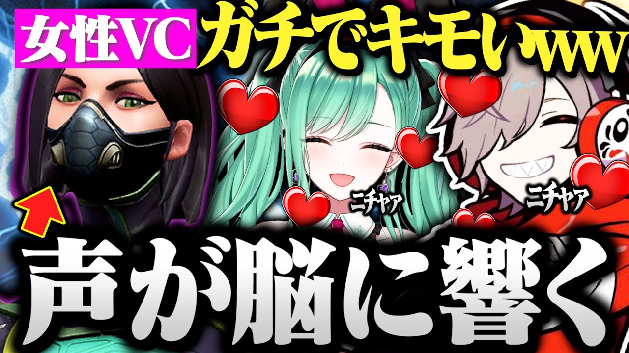 最終値下！！だるまいずごっど まとめ売り 最終値下！！だるまいずごっど まとめ売り 面白まとめ】全財産を